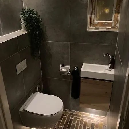 Voorsterstaete Former Barn, Including Jacuzzi * Voorst Gem Voorst